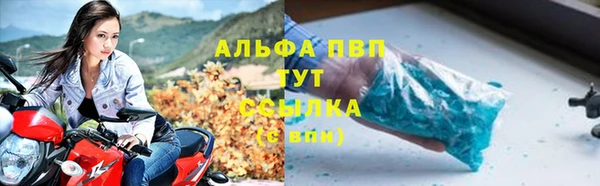 спиды Майский