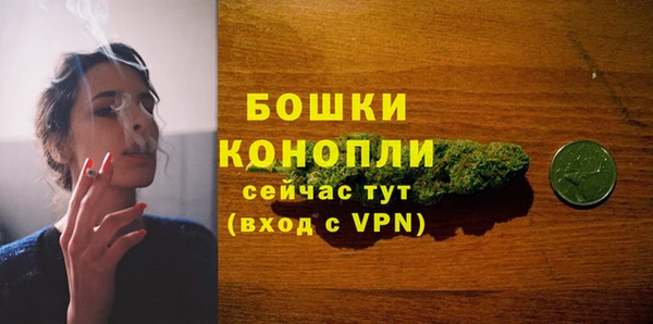 гидра Воткинск