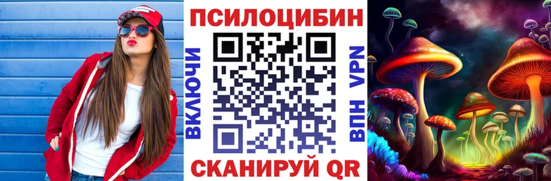 купить сайты Котлас Галлюциногенные грибы Psilocybine cubensis