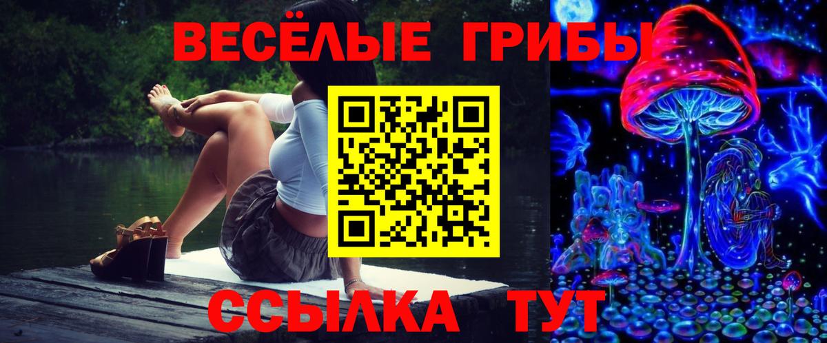 Галлюциногенные грибы Psilocybe  Псилоцибиновые грибы Psilocybine cubensis  Котлас  Вход с VPN 