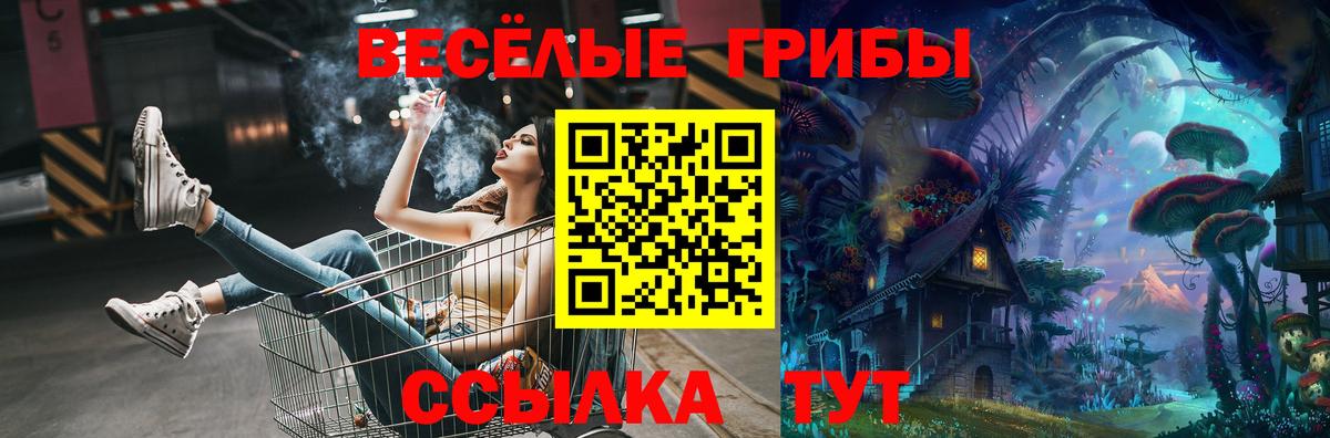 купить наркоту  Котлас  Галлюциногенные грибы MAGIC MUSHROOMS 