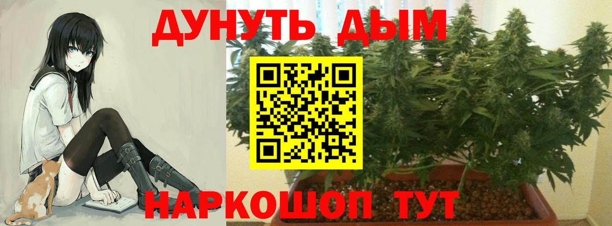 Канабис план  Вход с VPN  МАРИХУАНА Ganja  Котлас  Бошки марихуана VHQ 